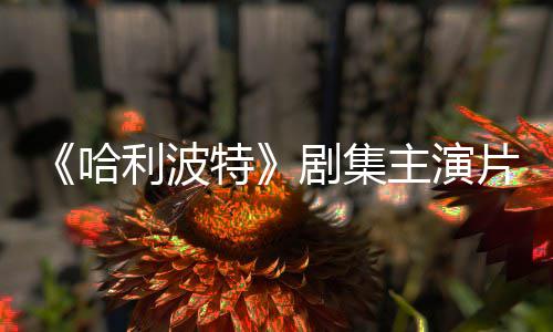 二季片酬曝光百万第特富翁主演哈剧集就成利波